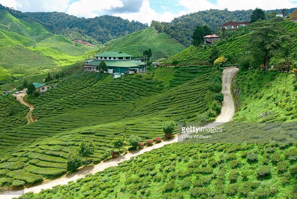 Muslim Boutique Apartment Cameron Highlands Exterior foto