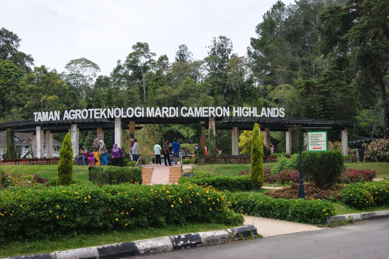 Muslim Boutique Apartment Cameron Highlands Exterior foto